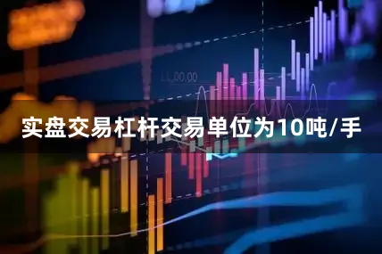 实盘交易杠杆交易单位为10吨/手