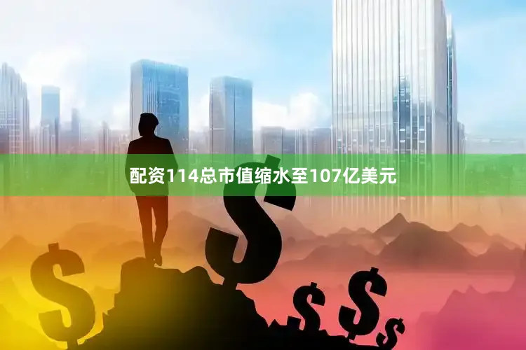 配资114总市值缩水至107亿美元