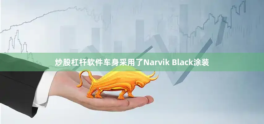 炒股杠杆软件车身采用了Narvik Black涂装