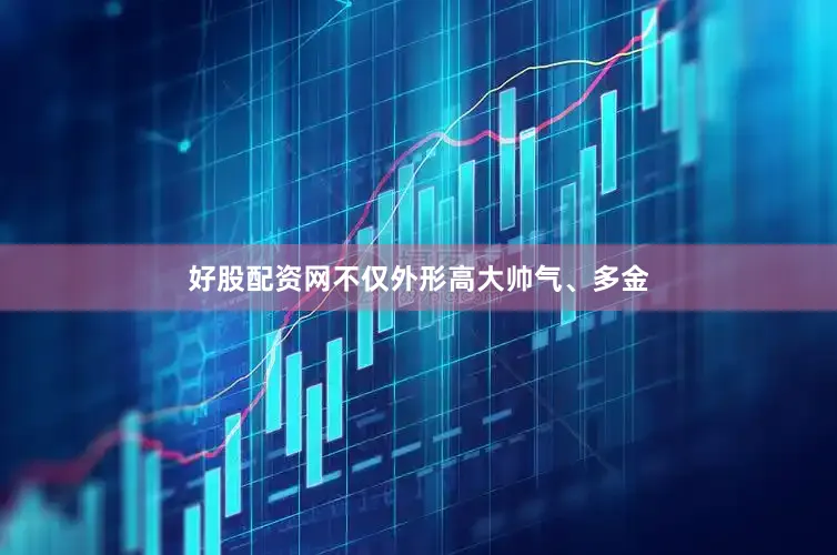 好股配资网不仅外形高大帅气、多金
