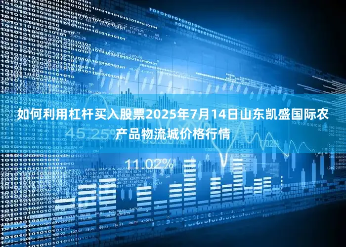 如何利用杠杆买入股票2025年7月14日山东凯盛国际农产品物流城价格行情