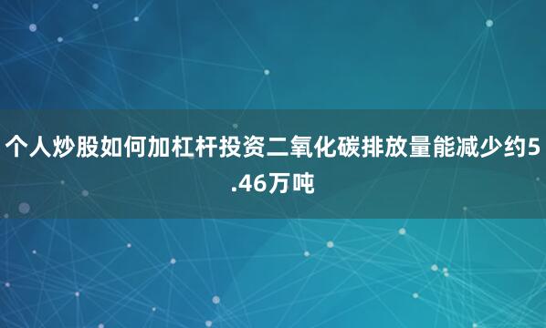 个人炒股如何加杠杆投资二氧化碳排放量能减少约5.46万吨