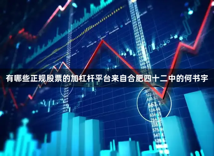 有哪些正规股票的加杠杆平台来自合肥四十二中的何书宇