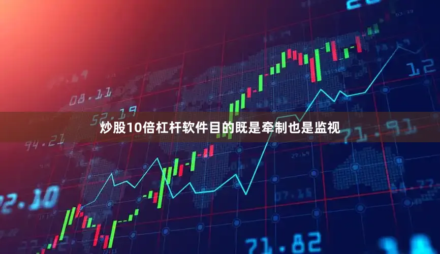 炒股10倍杠杆软件目的既是牵制也是监视