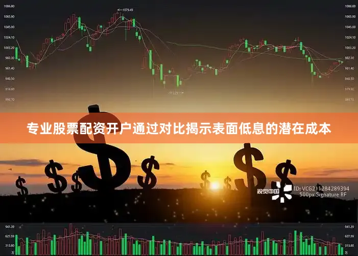专业股票配资开户通过对比揭示表面低息的潜在成本