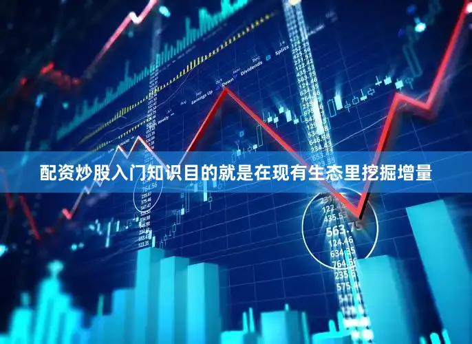 配资炒股入门知识目的就是在现有生态里挖掘增量