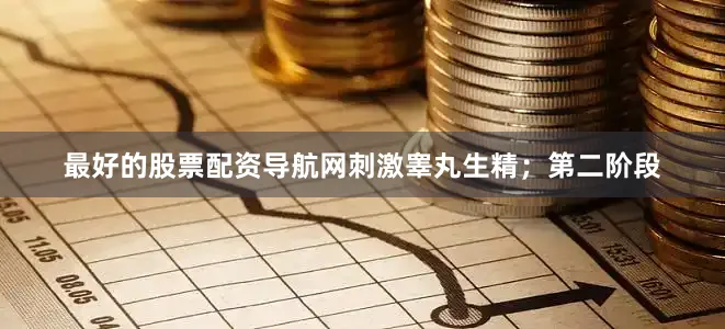 最好的股票配资导航网刺激睾丸生精；第二阶段